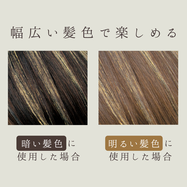 ワンデーハイライトーン