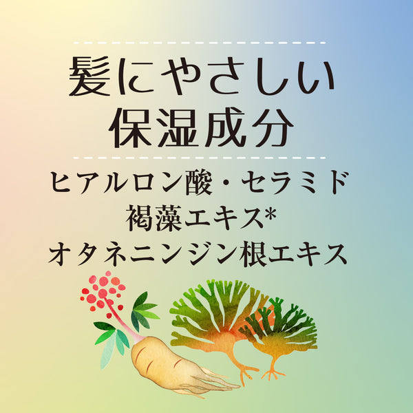ワンデーハイライトーン