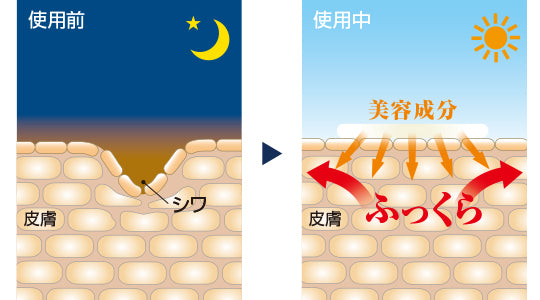 美ハリおやすみ眉間シート(24枚入)