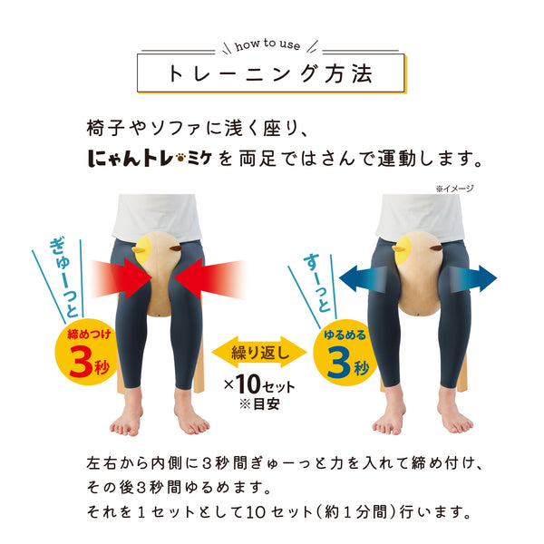 にゃんトレ ミケ【ぬいぐるみで下半身トレーニング】