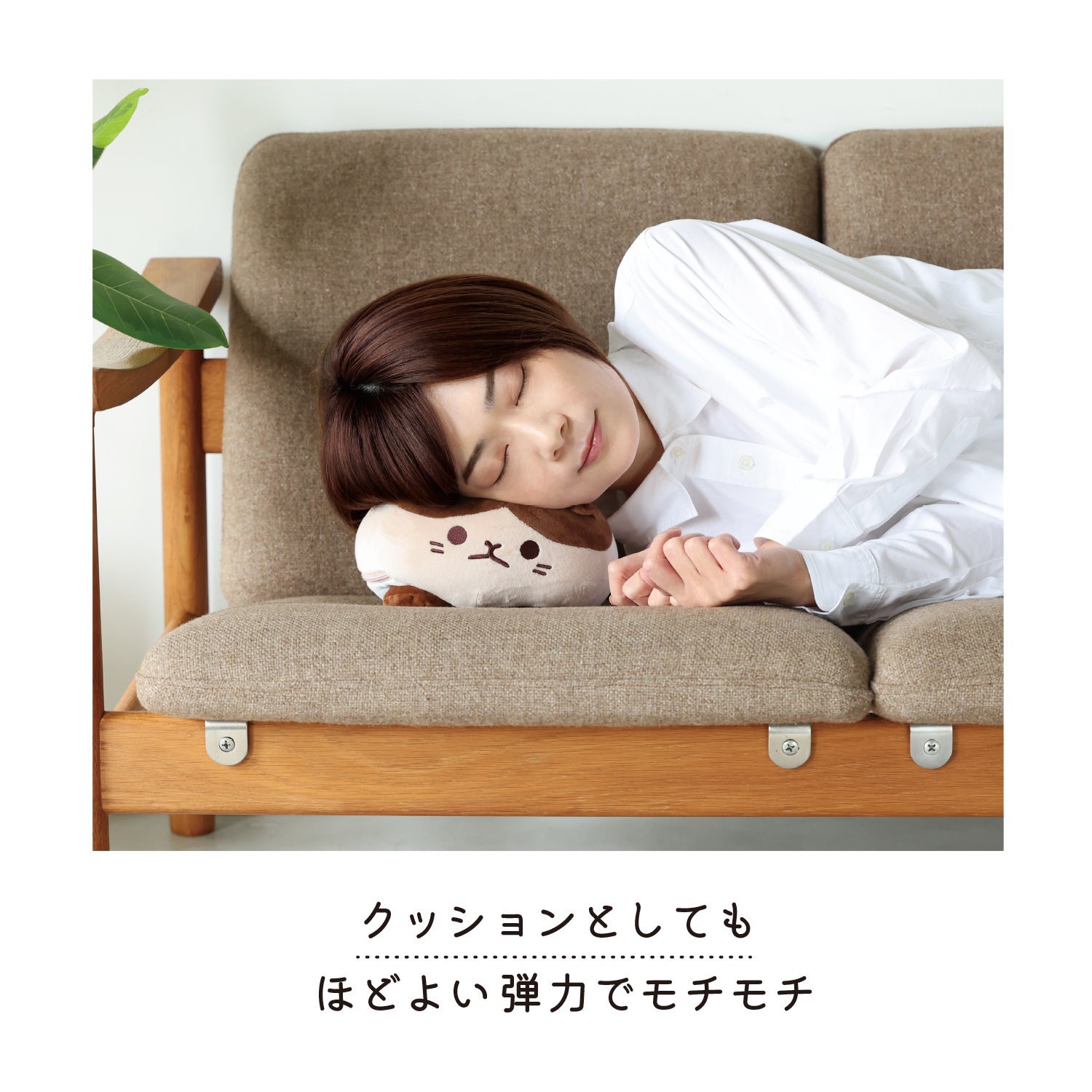 にゃんころ Amazon | マルカン NYANTA CLUB にゃん太のゴーゴーころころ