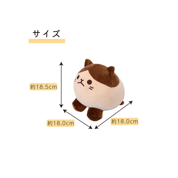 にゃんトレストレッチ ごろにゃー